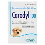 カロディル（カロダイル）　Carodyl100、カルプロフェンチュアブル錠100mg　箱